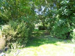 http://www.gardenius.com/kugler/gallery/DSCN1161_small.JPG